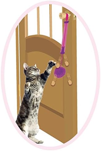 חיות מחמד אתיות נקודתיות קיטי טוג 'n פינוק 20 צעצוע חתול עם Catnip