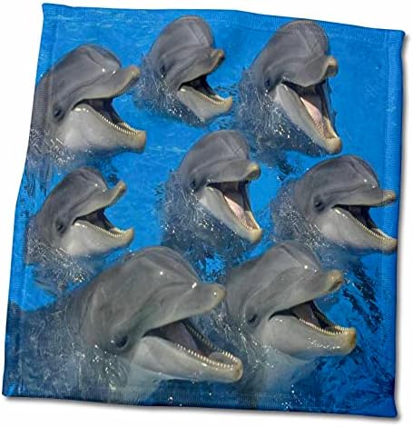3 דרוז פלורן בעלי חיים מתחת למים - תרמיל של דולפינים צוחקים - מגבות